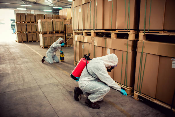 Best Flea Control Services  in Ellinwood, KS