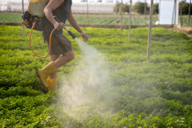 Best Local Pest Control Services  in Ellinwood, KS