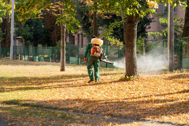 Best Rodent Control Near Me  in Ellinwood, KS
