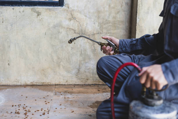 Best Pest Inspection Near Me  in Ellinwood, KS